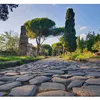 fabioappia