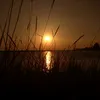 kurtis_s_