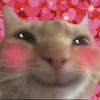 hbthhu2
