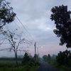 mbohraroh639