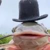 koiiiiiy