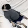 dawkaaa_z