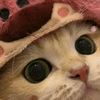 rara_220906