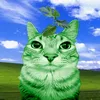 misterdaun