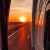alialiev00505