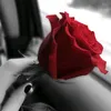 hshh75hh