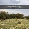 fahdda7