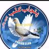 jutt585858