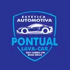 pontuallavacar10