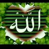 zaimzaim698