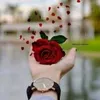 user3321212208381