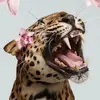 msh3o