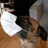 anthotaton