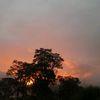 janny_1740
