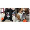 mn_gus_and_maggie