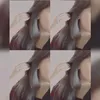 aminajmal4