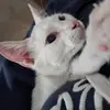 eloisabautistaoj