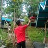 hardyazura