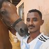 user584412601