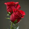abafas_28