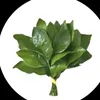 vit.071
