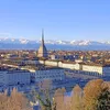 vivoatorino1