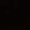 user585509116