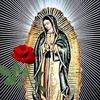 user060511869