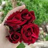 mustafaidlby2