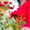 souad_rasheed