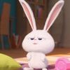 mimie_abcd