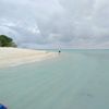 nessamijan