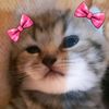 mpusnyapupus_