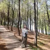 dhtrang03