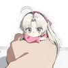 shibina_1