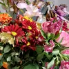 shazia786auzzahid