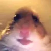 javi9__