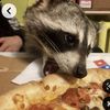 yuki_likes_bread
