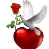 user57702814