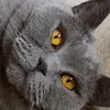 user591079105