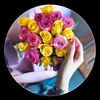 roseashwil4