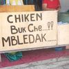 mata_elang_29