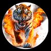 tiger..076