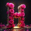 haseebraj18