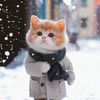jen_frns