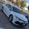 الهمح ٤٦٤ 😍🥳 استانطر 🤣✌🏻