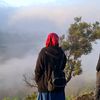 shintalee18