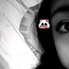 luu_v115