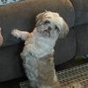 tobysmom