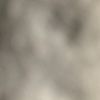 dseef4